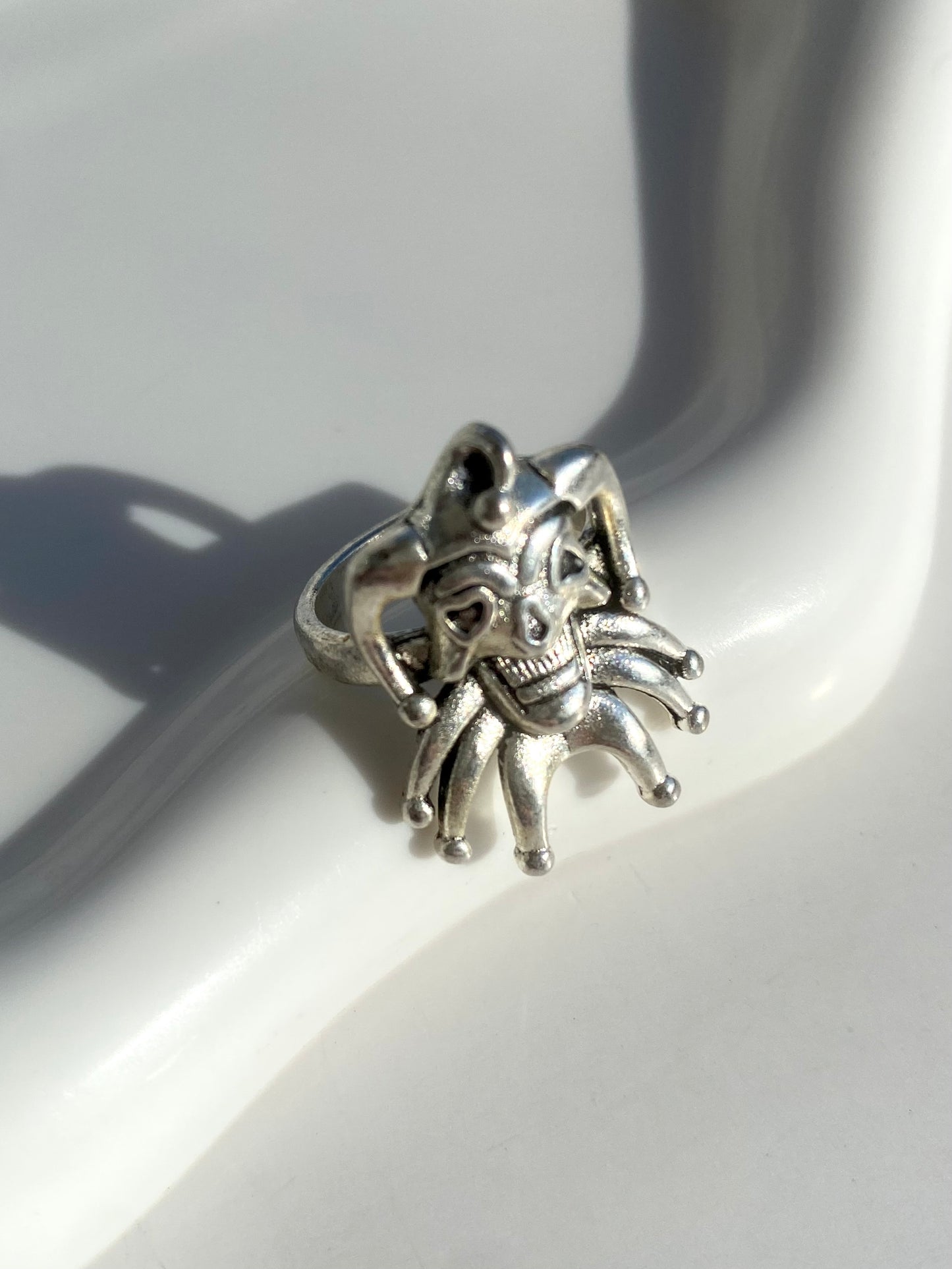 Anillo plateado Nº29