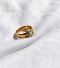 Anillo Nº15 - Colección Poesía Dorada