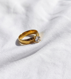 Anillo Nº15 - Colección Poesía Dorada