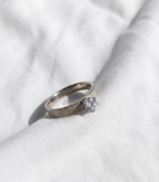 Anillo Nº18 - Colección Poesía Plateada