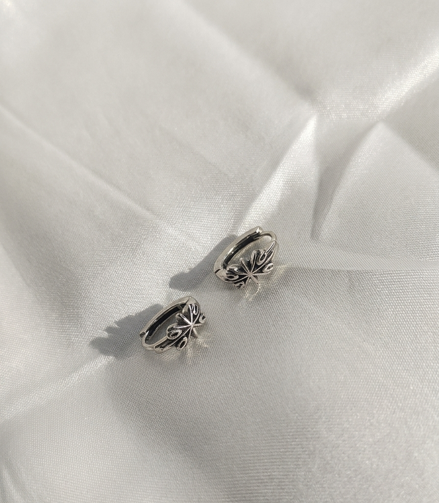 Aretes plateados Nº9