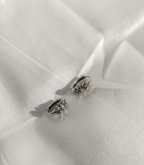 Aretes plateados Nº9