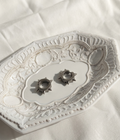 Aretes plateados Nº10