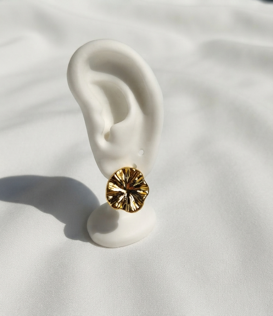 Aretes dorados Nº13
