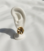 Aretes dorados Nº13