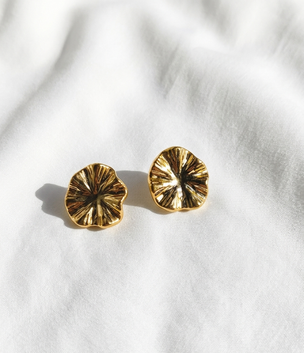 Aretes dorados Nº13