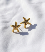 Aretes dorados Nº9