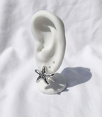 Aretes plateados Nº11