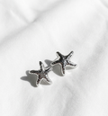 Aretes plateados Nº11