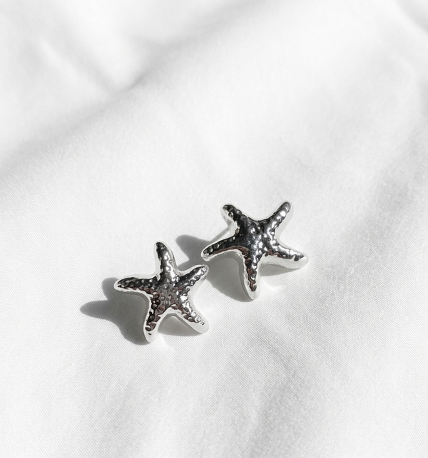 Aretes plateados Nº11
