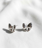 Aretes plateados Nº13
