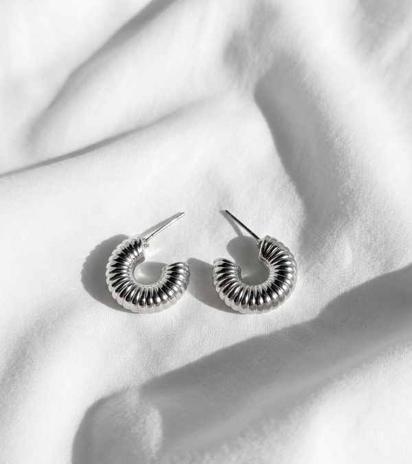 Aretes plateados Nº17