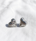 Aretes plateados Nº19