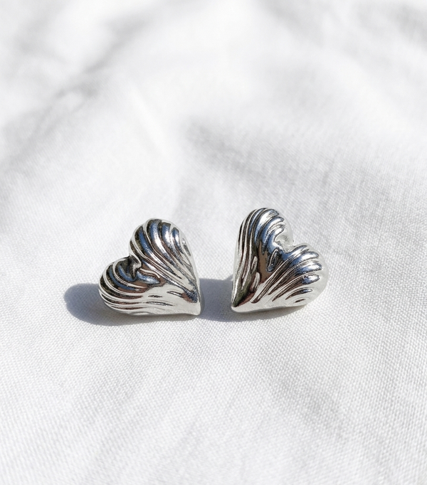Aretes plateados Nº19